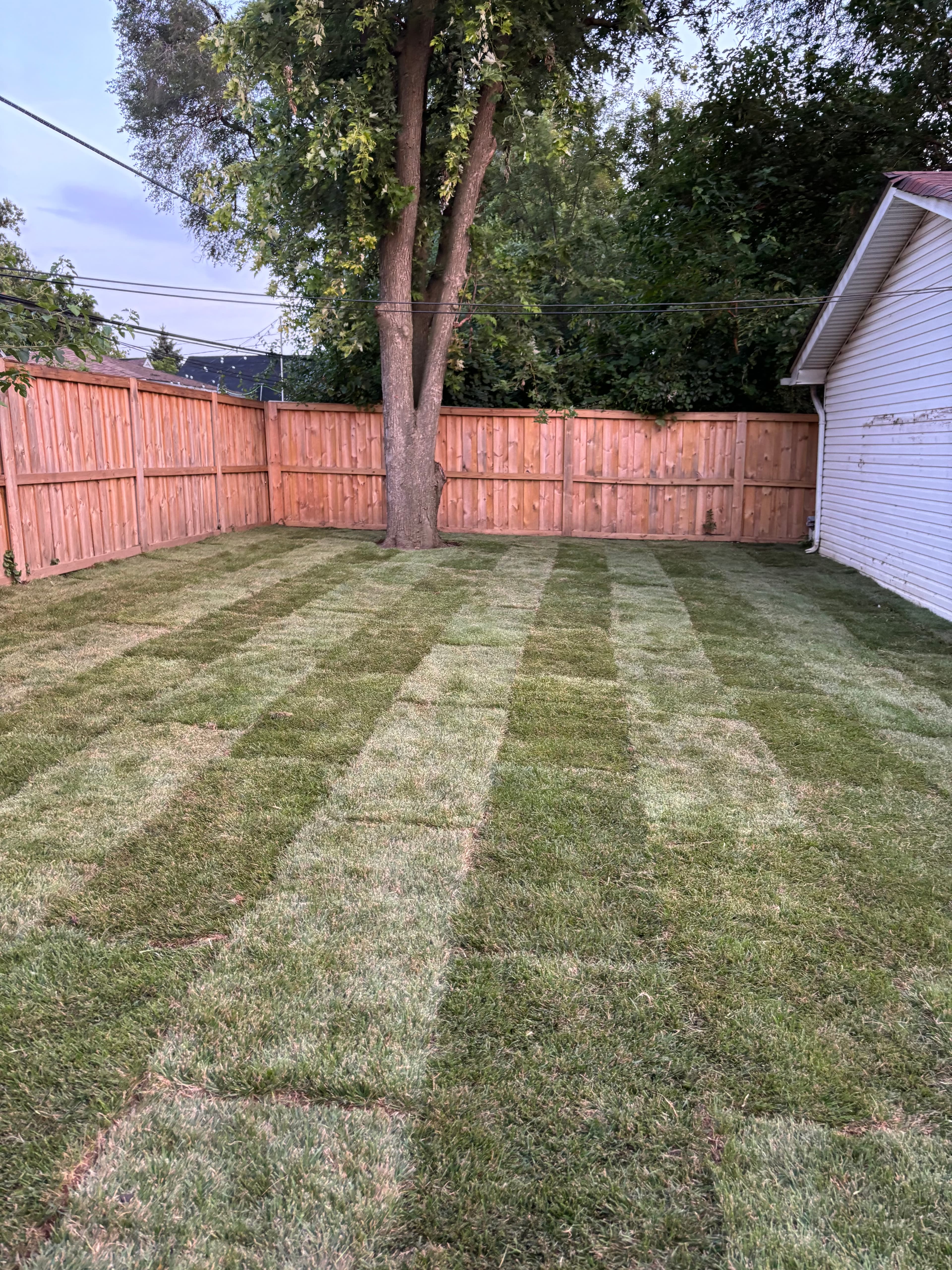 Sod Installation — Oak Park, IL